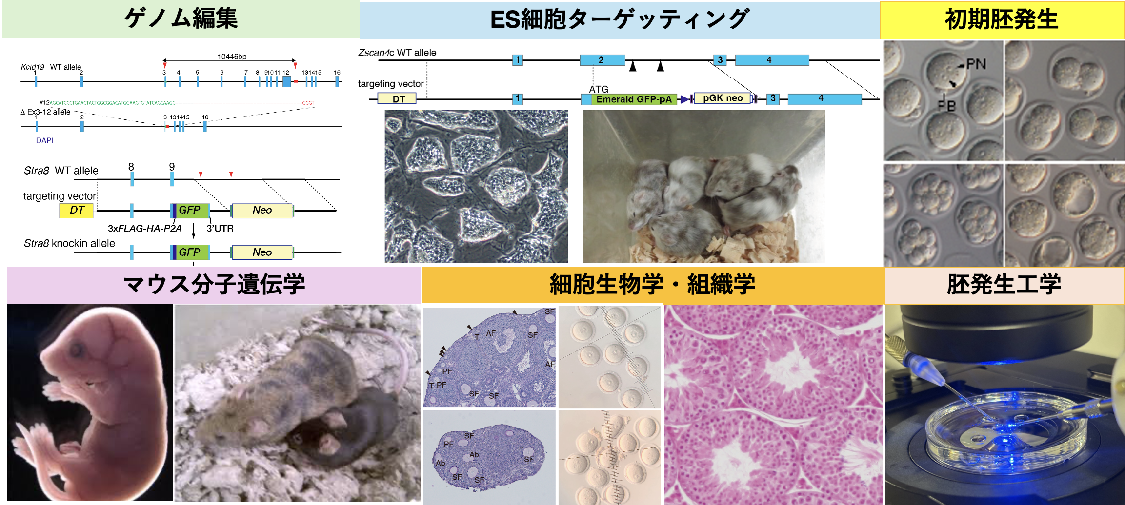 スクリーンショット 2025-09-30 21.09.07.png