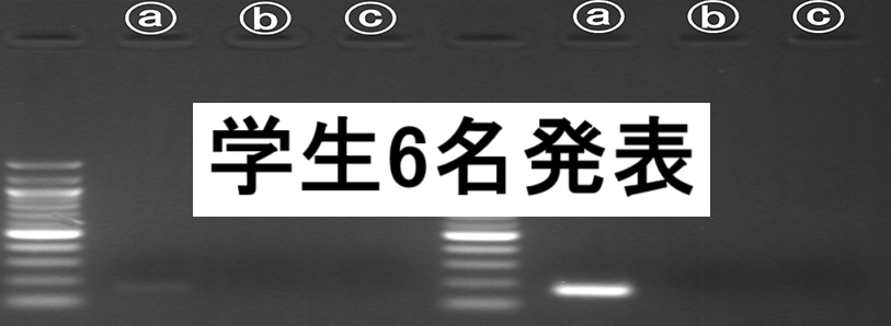 a54c27c6dfd71bd6ba41ee193a55f5e0.png