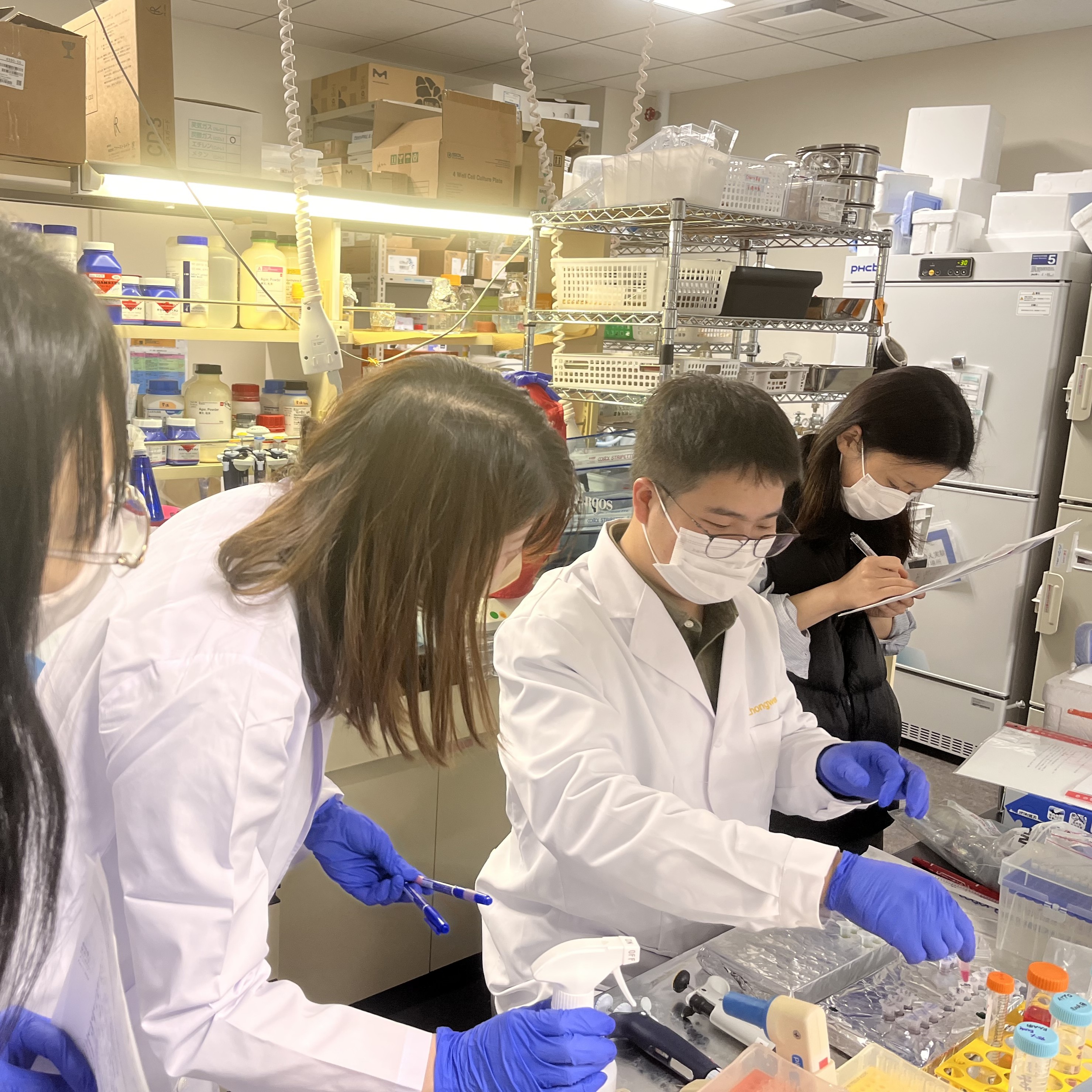 Lab4.jpg