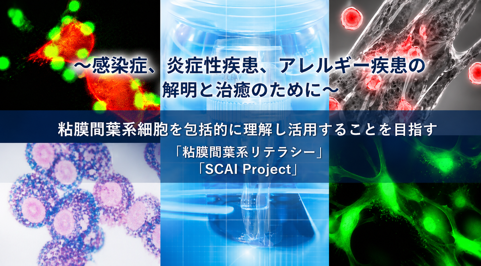 粘膜間葉系リテラシー.png
