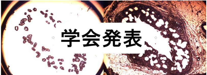b7ff68b90821be14399ecff1f101380b.png