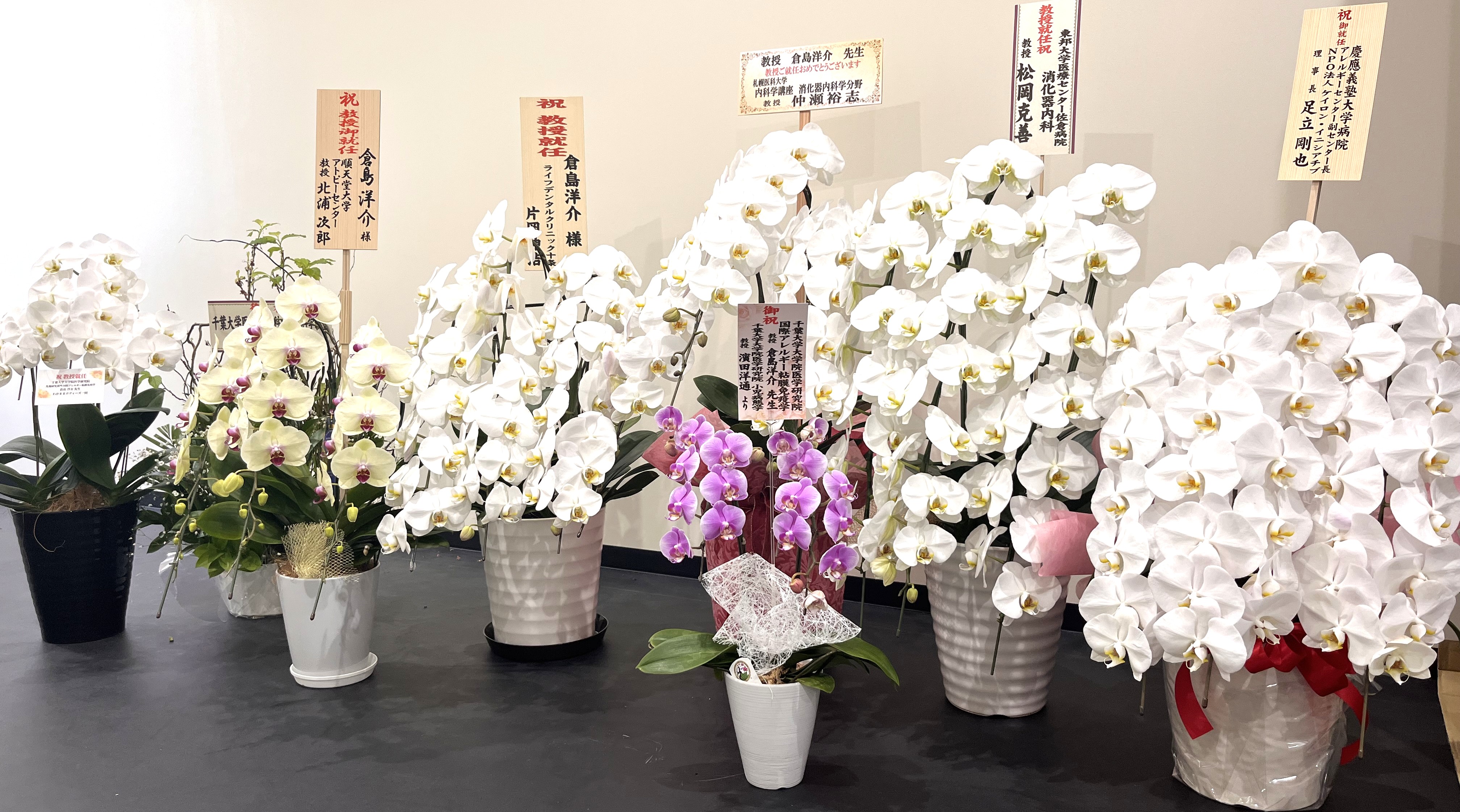 ページタイトル画像