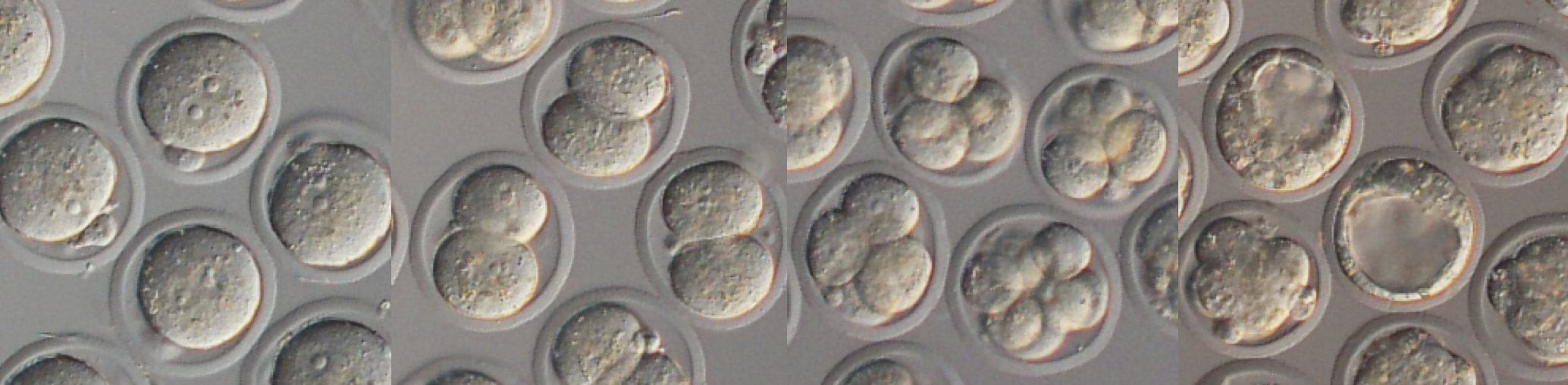 ページタイトル画像