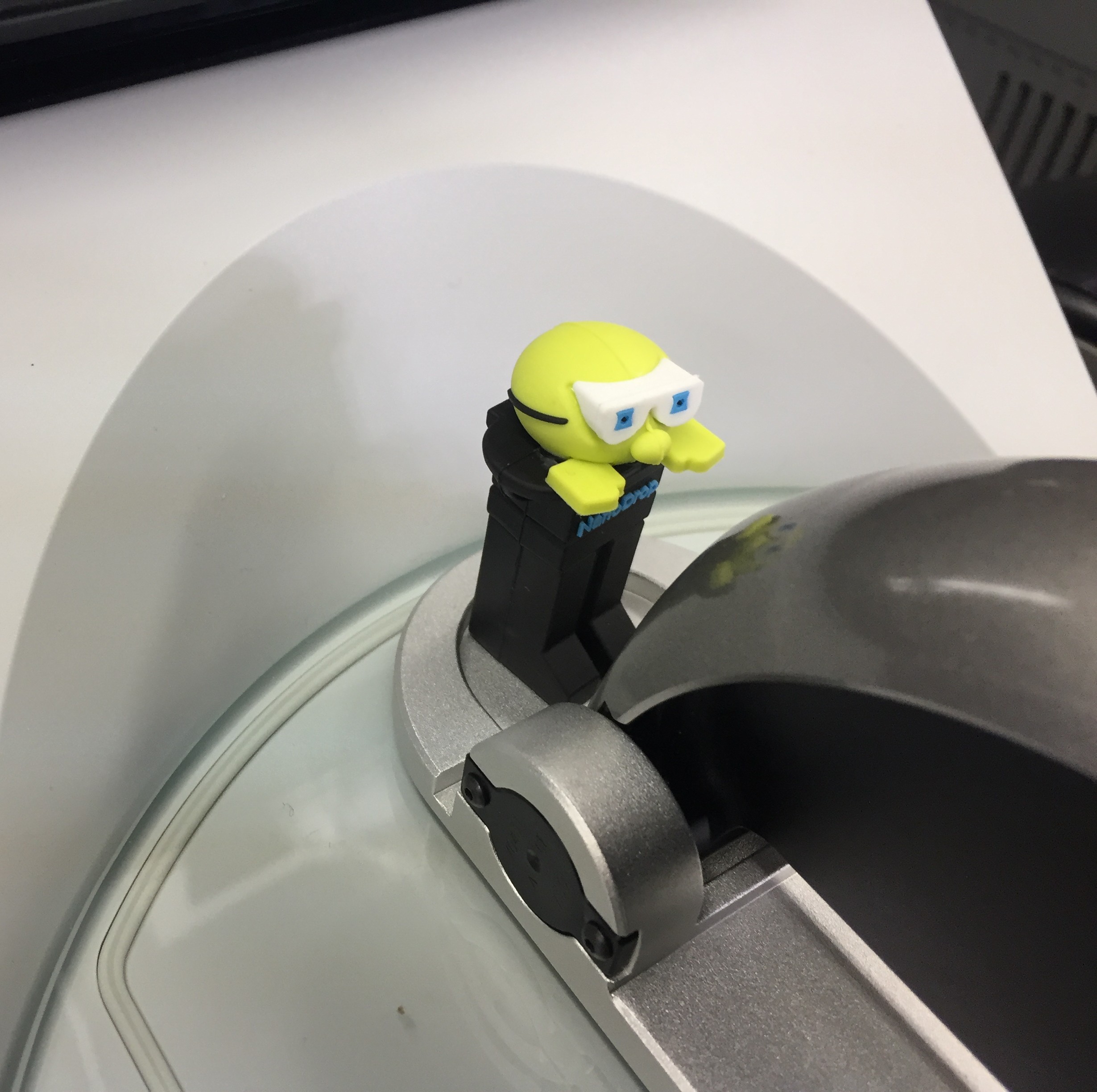 Lab pet3.jpeg