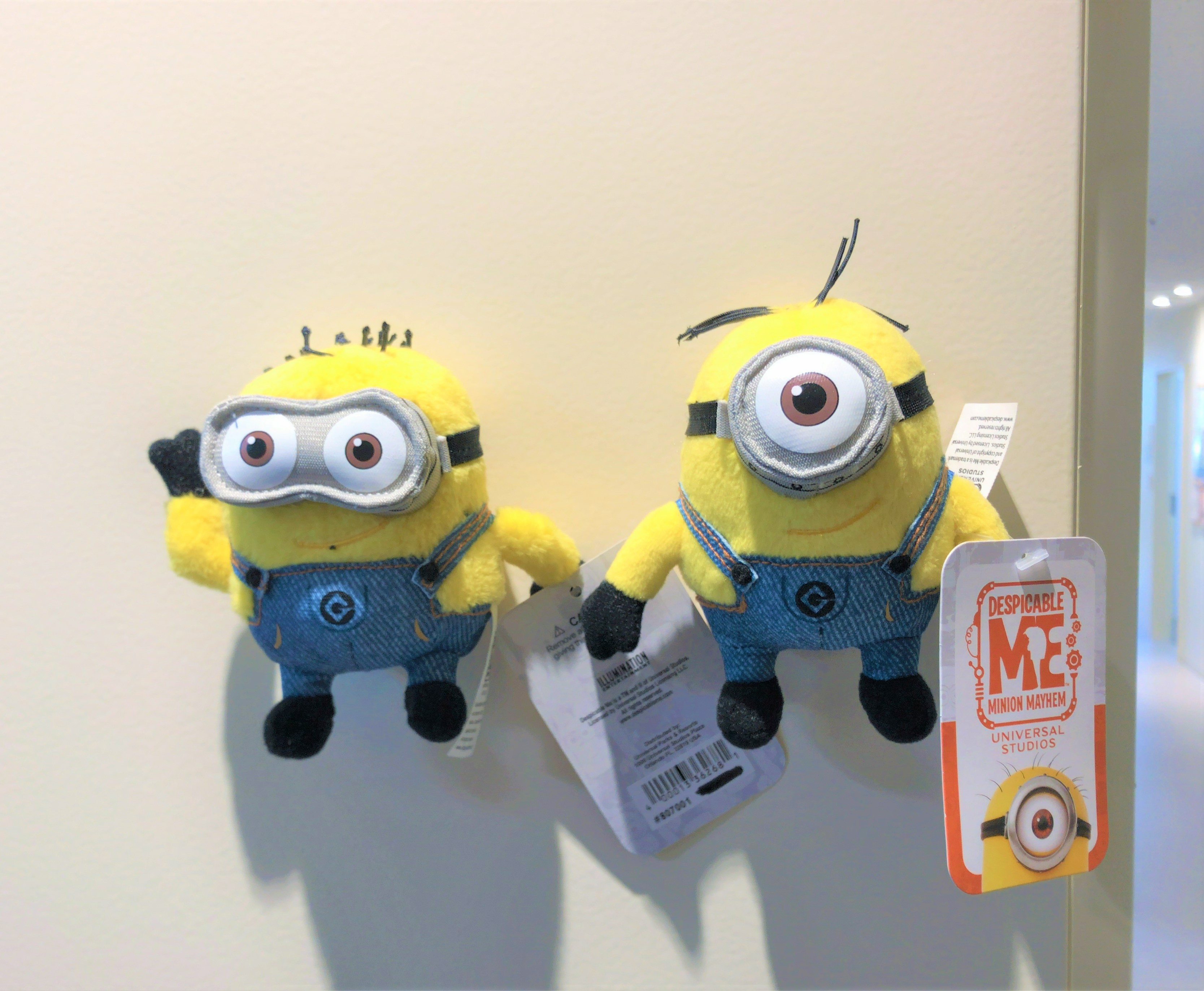 Lab pet1.JPG
