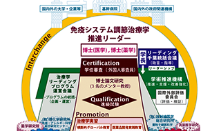 カリキュラムの概要