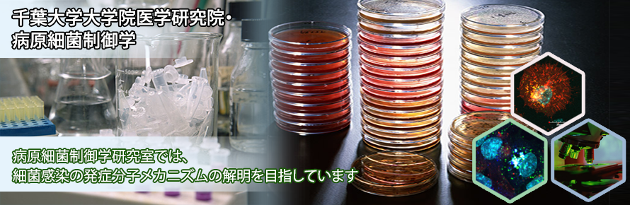 メインイメージ